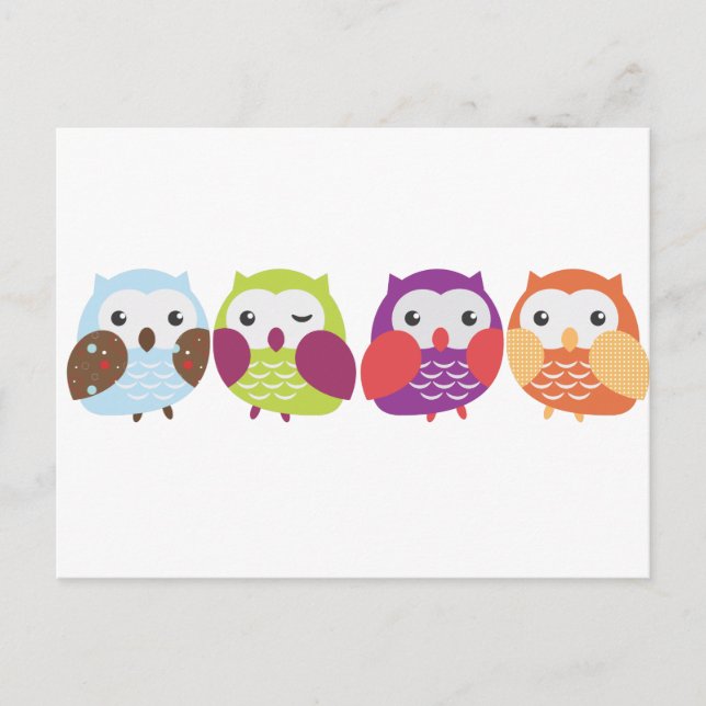Four Colorful Owls Postcard (Front)