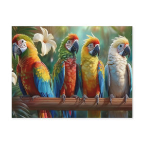 Four Colorful Parrots Postcard