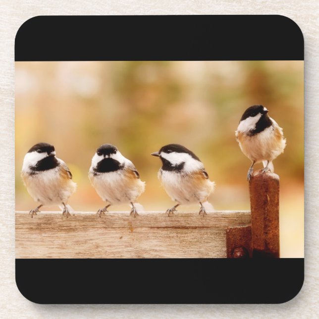 Four Cute Chickadees Drink Coaster (Front)