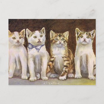 Four Cute Kittens Vintage Illustration Postcard by PrimeVintage at Zazzle
