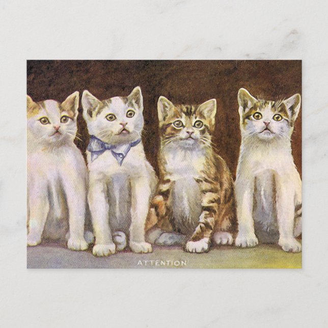 Four Cute Kittens Vintage Illustration Postcard (Front)