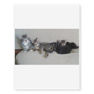 Four cute Kitties in a Row Temporary Tattoos