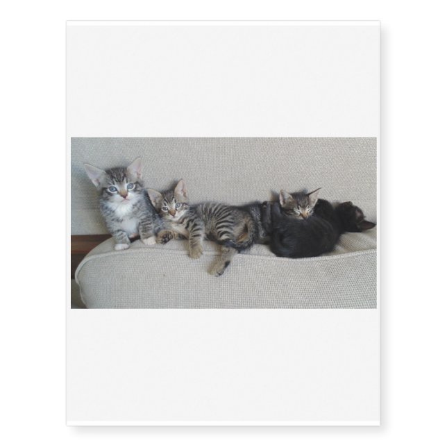 Four cute Kitties in a Row Temporary Tattoos (Front)