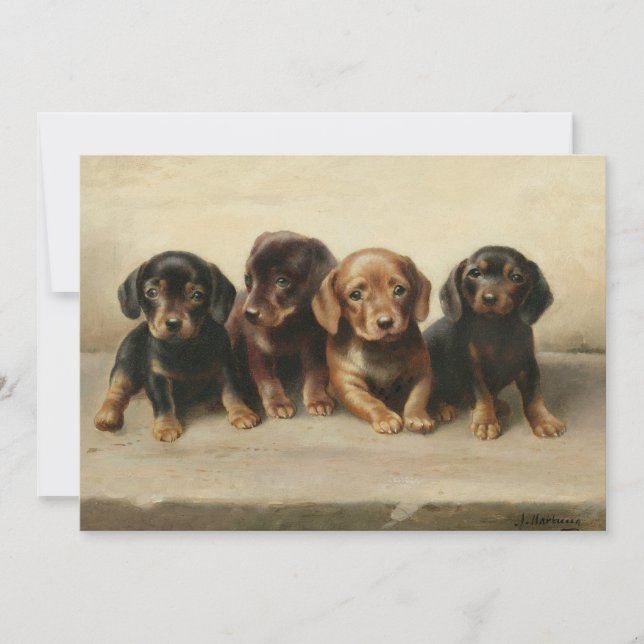 Four Dachshund Puppies | Carl Reichert (Front)