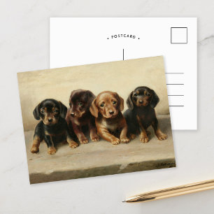 Four Dachshund Puppies Carl Reichert Postcard