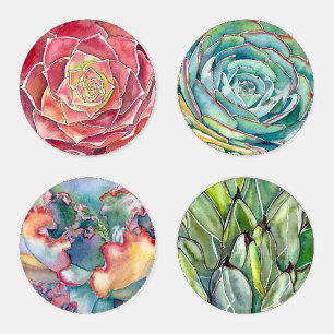 Four Different Succulent Designs Coaster Set