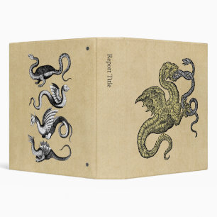 Four Dragons Binder