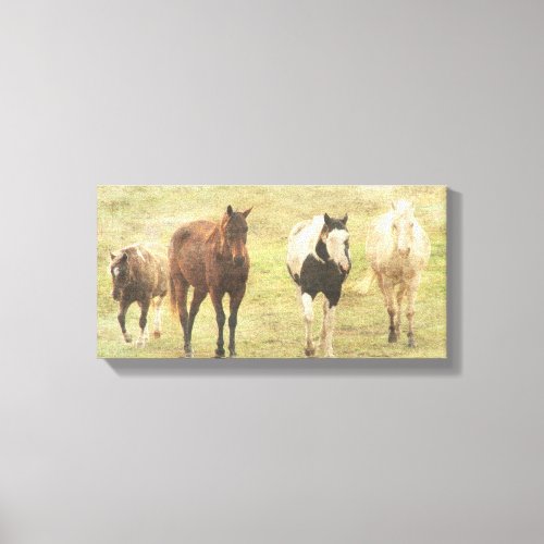 Four Equine Canvas Print