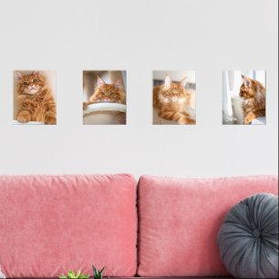 Four Family Cat 8x10 Photo Wall Art Sets