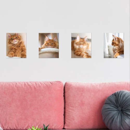 Four Family Cat 8x10 Photo Wall Art Sets