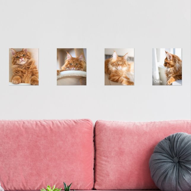 Four Family Cat 8x10 Photo Wall Art Sets (Livingroom)