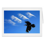 Four Feathers (Front Horizontal)