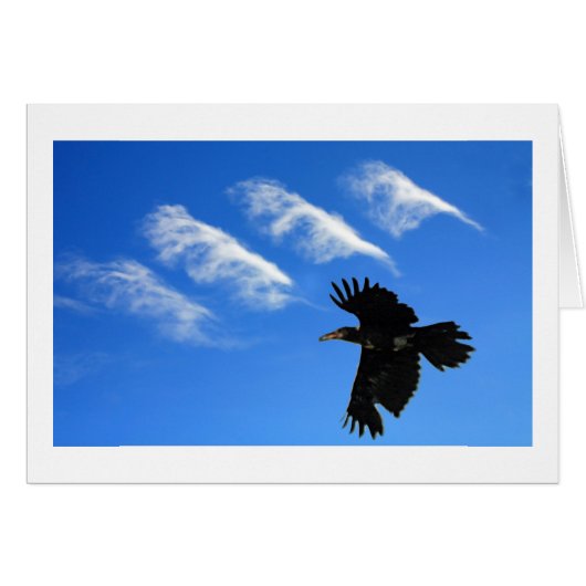 Four Feathers Cards (Front Horizontal)