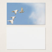 Four flying doves (Front & Back)