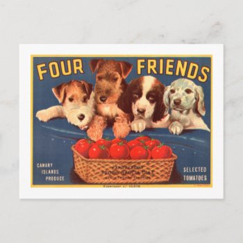 Four Friends Vintage Tomato Crate Dogs Label Postcard by scenesfromthepast at Zazzle
