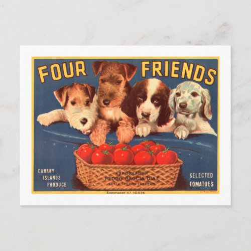 Four Friends Vintage Tomato Crate Dogs Label Postcard