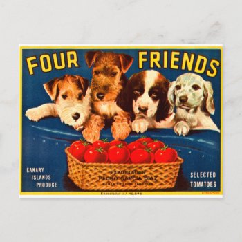Four Friends Vintage Tomato Crate Label Dogs Postcard by scenesfromthepast at Zazzle