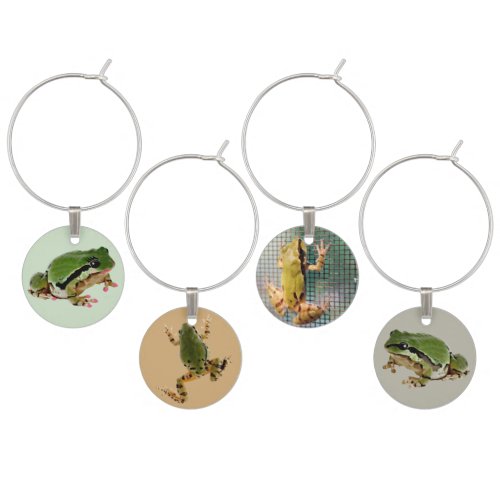 Four Fun Close_Up Frog Photographs Wine Charm