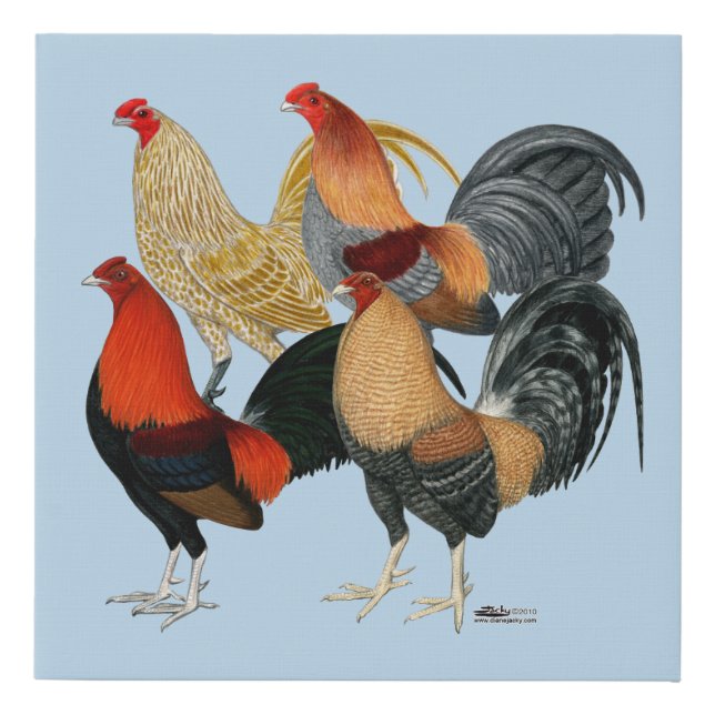 Four Gamecocks Faux Canvas Print (Front)