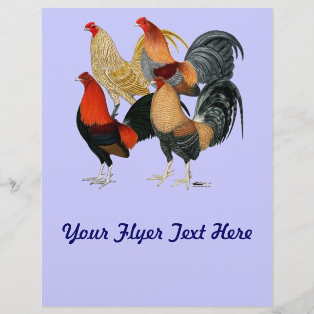 Four Gamecocks Flyer (Front)