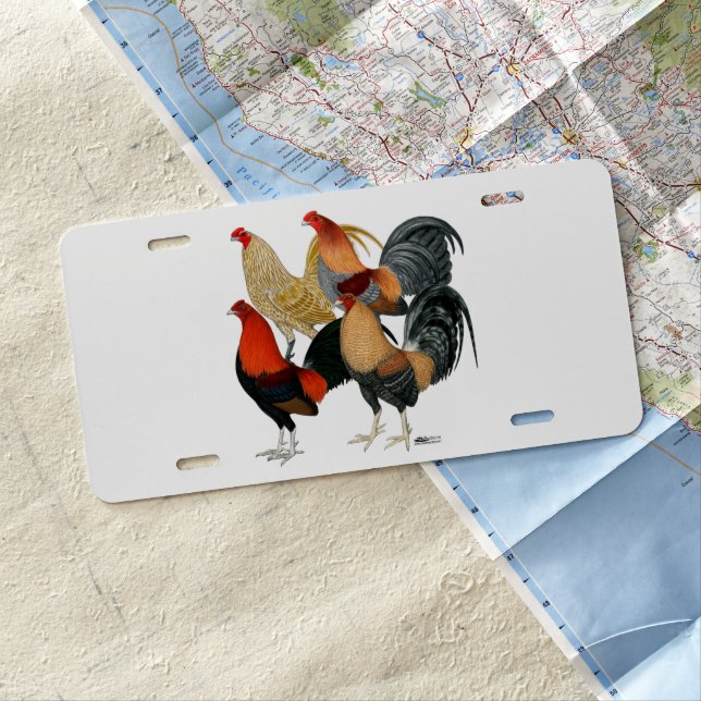 Four Gamecocks License Plate (In Situ)