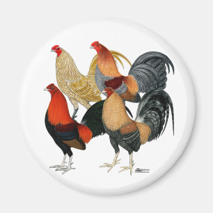 Four Gamecocks Magnet