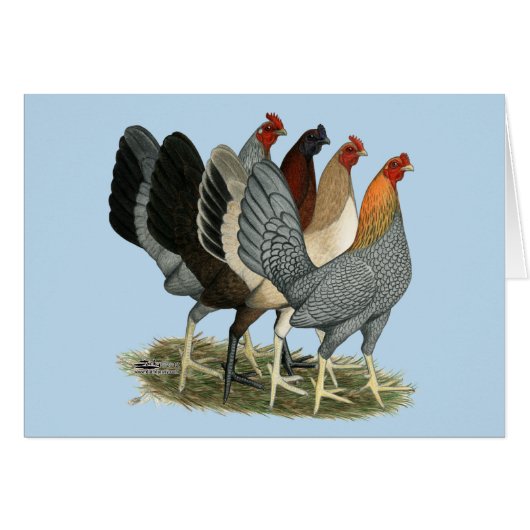 Four Gamefowl Hens Cards (Front Horizontal)