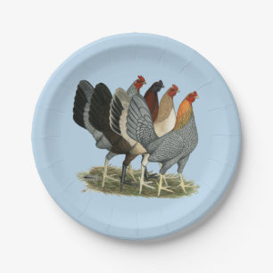 Four Gamefowl Hens Paper Plates