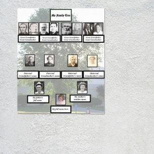 Four-Generation Chinese Elm Family Tree Photos Poster