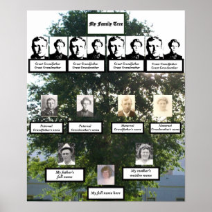 Four-Generation Elm Family Tree Summertime Photos Poster