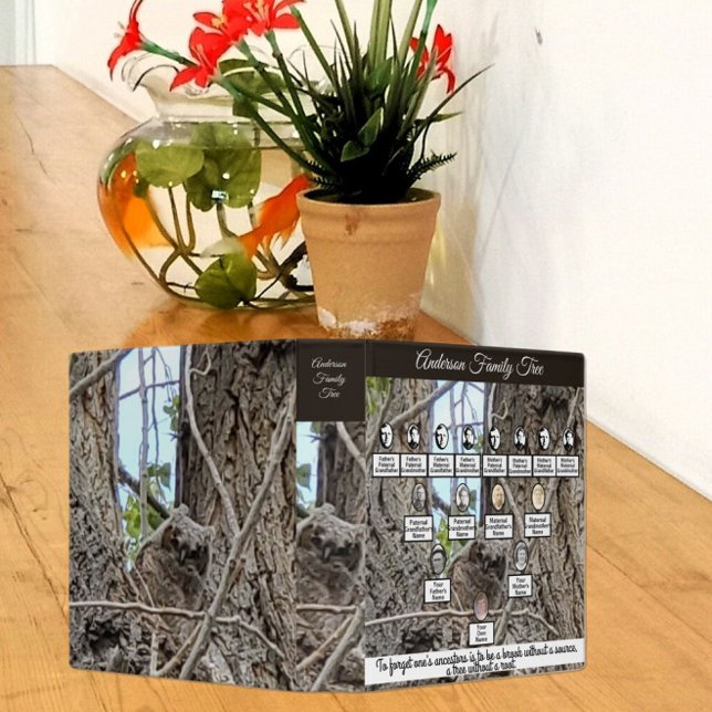 Four Generation Family Tree | Owlet in Tree Photos 3 Ring Binder (Creator Uploaded)