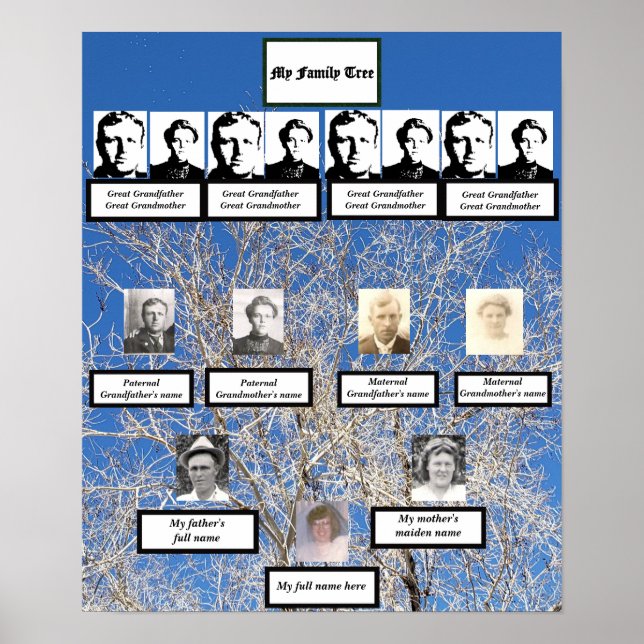 Four Generation Leafless Tree Family Tree Photos Poster (Front)