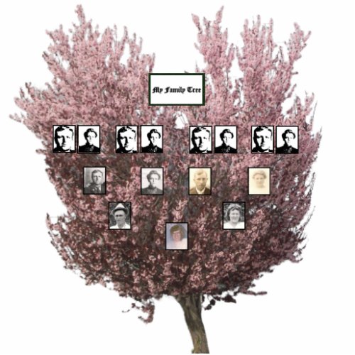 Four_Generation Pink Blossoming Photo Family Tree Cutout