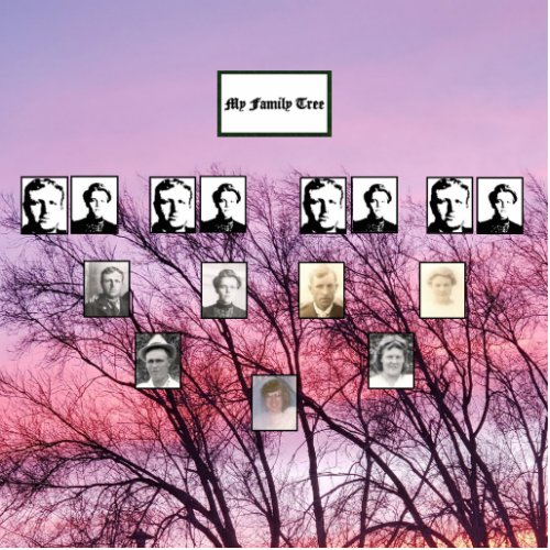 Four_Generation Pink Sunset Photo Family Tree  Cutout
