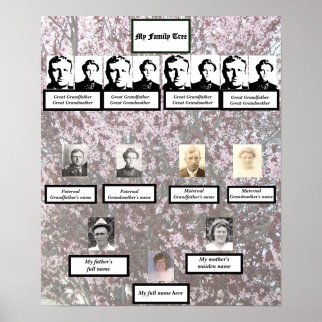 Four Generation Plum Blossom Family Tree Poster (Front)