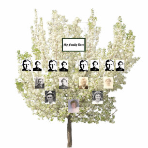 Four-Generation Springtime Blossoming Family Tree Cutout