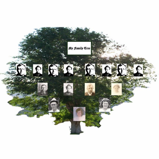 Four-Generation Summer Elm Family Tree Cutout (Front)