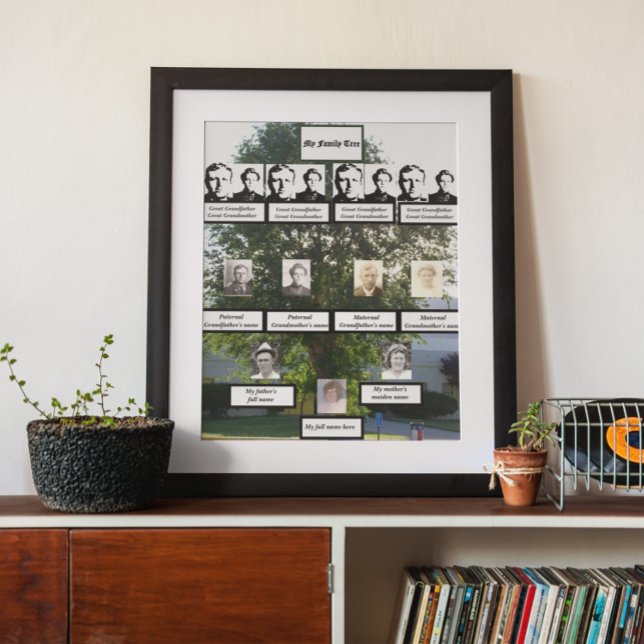 Four-Generation Summertime Elm Family Tree Photos Poster (Creator Uploaded)