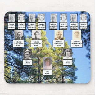 Four Generation Tall Pine Trees Family Tree Photos Mouse Pad