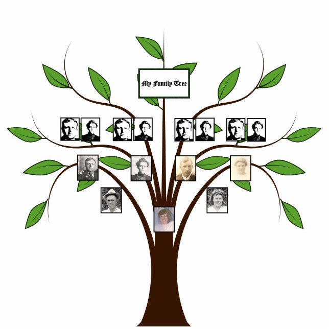 Four-Generation Whispy Digital Photo Family Tree Cutout (Front)