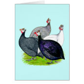 Four Guineas (Front)