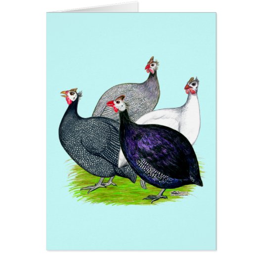 Four Guineas Cards (Front)