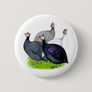 Four Guineas Pinback Button