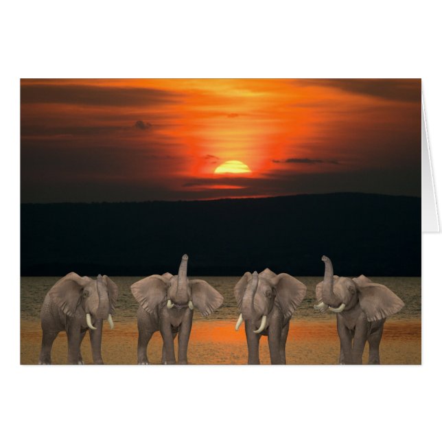 Four Happy Elephants Cards (Front Horizontal)