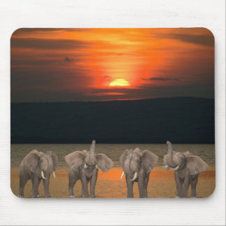 Four Happy Elephants Mouse Pad