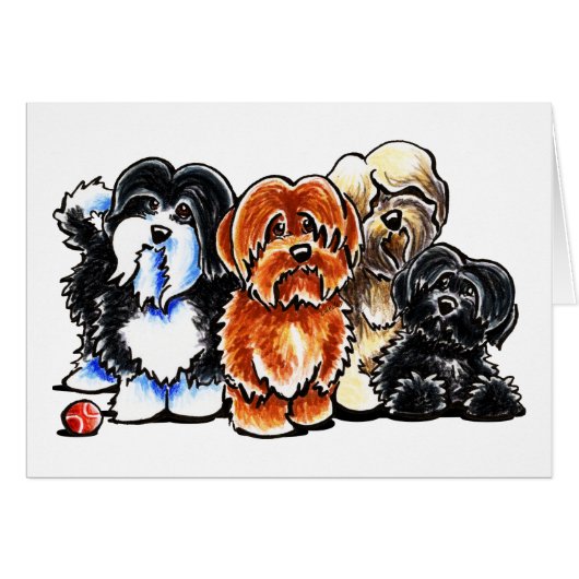 Four Havanese Cards (Front Horizontal)