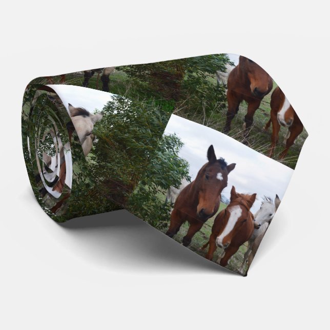 Four Horse Pals, Neck Tie (Rolled)