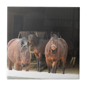 Four Horses Ceramic Tile