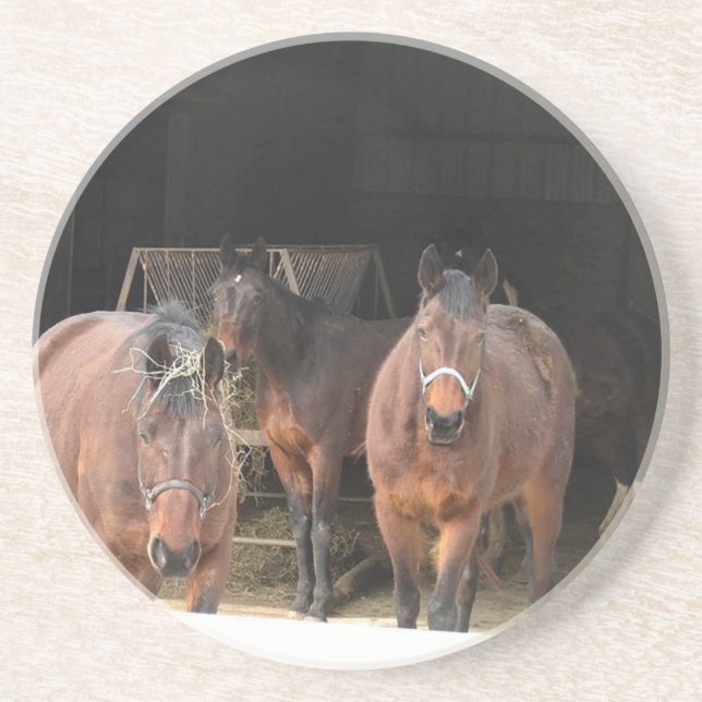 Four Horses Drink Coaster (Front)