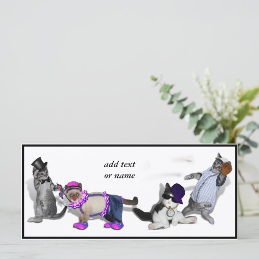 Four Kittens At Play (Standing Front)